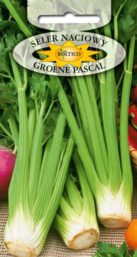 Seler naciowy Groene Pascal