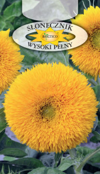 Słonecznik ozdobny - Wysoki pełny