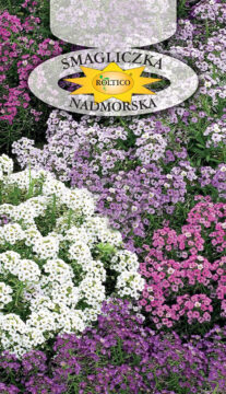 Smagliczka nadmorska - Mieszanka