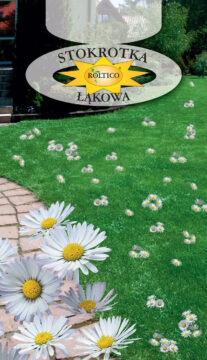 Stokrotka łąkowa - Do ozdoby trawników