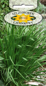 Szczypiorek Czosnkowy