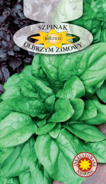Szpinak Olbrzym Zimowy
