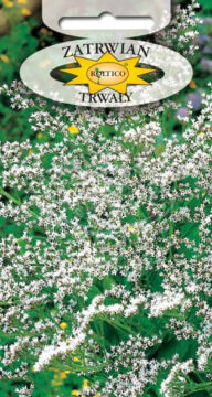 Zatrwian trwały tatarski